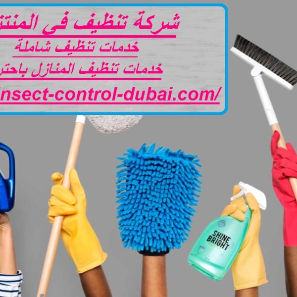 شركة تنظيف في المنتزي