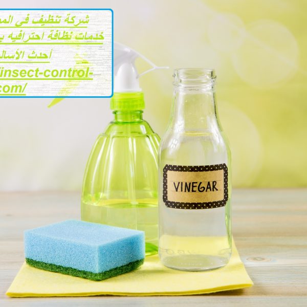شركة تنظيف في المويهات
