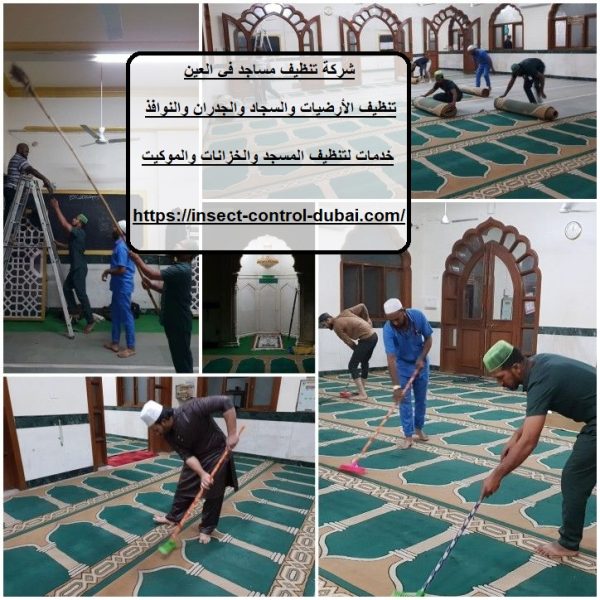 شركة تنظيف مساجد في العين