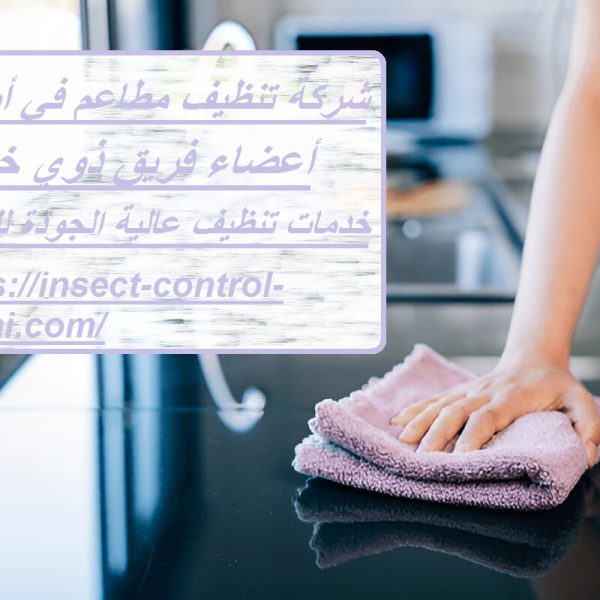 شركة تنظيف مطاعم في أبوظبي