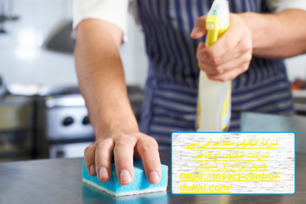 شركة تنظيف مطاعم في دبي