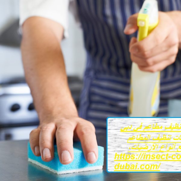 شركة تنظيف مطاعم في دبي