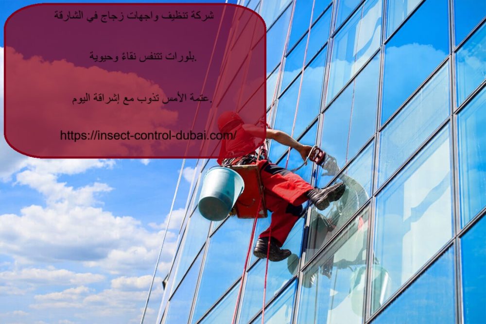 شركة تنظيف واجهات زجاج في الشارقة