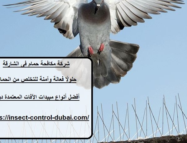 شركة مكافحة حمام فى الشارقة