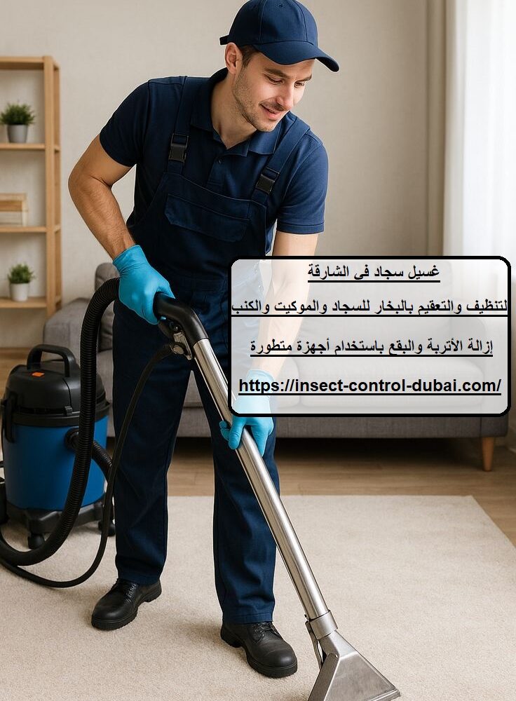 غسيل سجاد في الشارقة