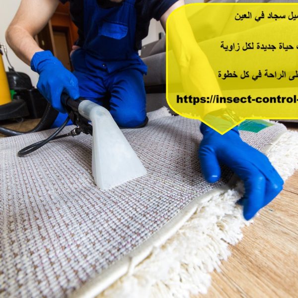 غسيل سجاد في العين