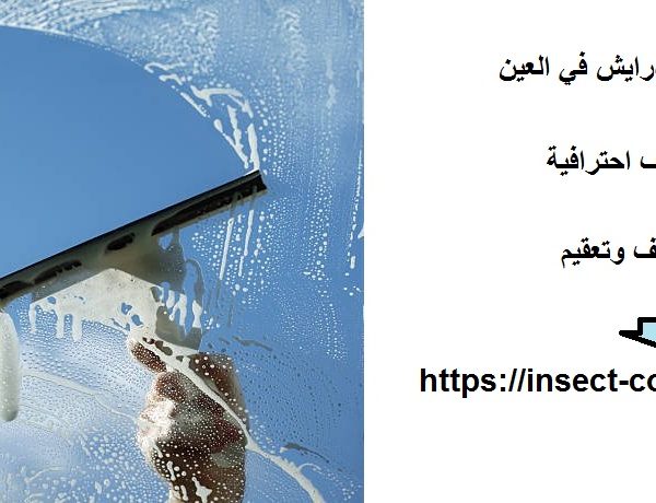 شركة تنظيف درايش في العين