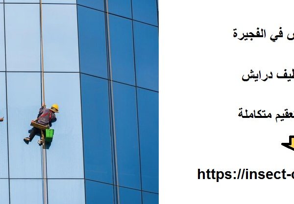 شركة تنظيف درايش في الفجيرة
