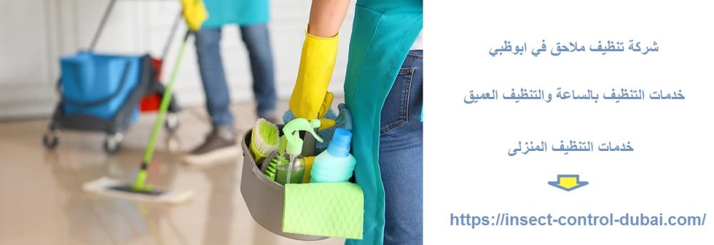 شركة تنظيف ملاحق في ابوظبي