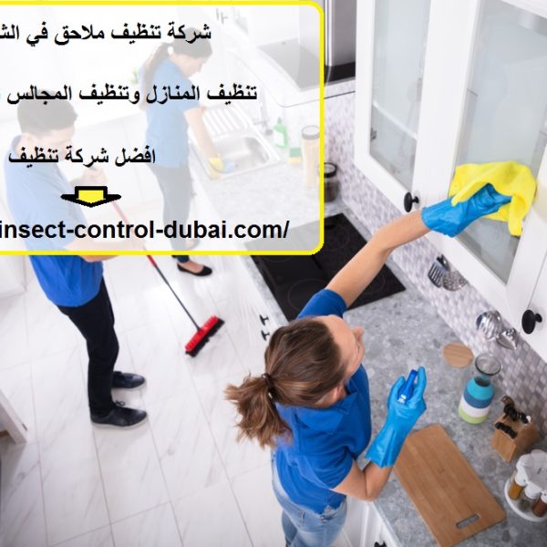 شركة تنظيف ملاحق في الشارقة