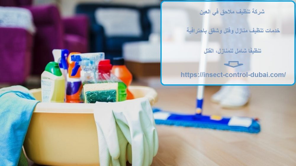 شركة تنظيف ملاحق في العين