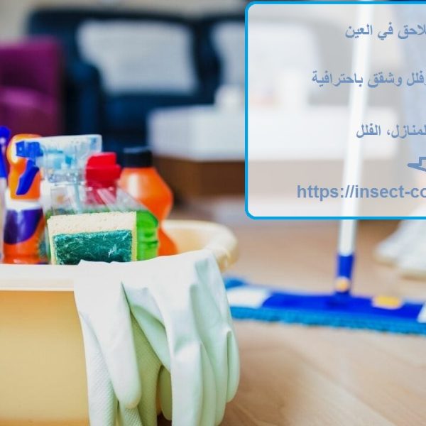 شركة تنظيف ملاحق في العين