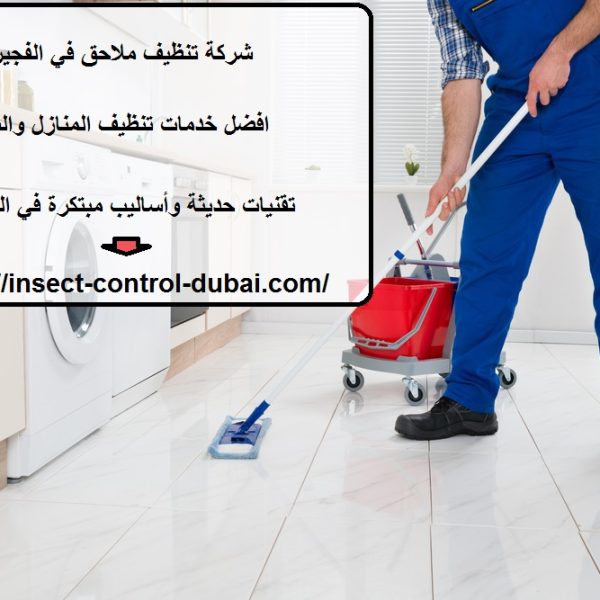 شركة تنظيف ملاحق في الفجيرة
