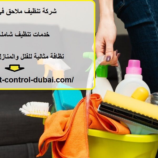 شركة تنظيف ملاحق في ام القيوين