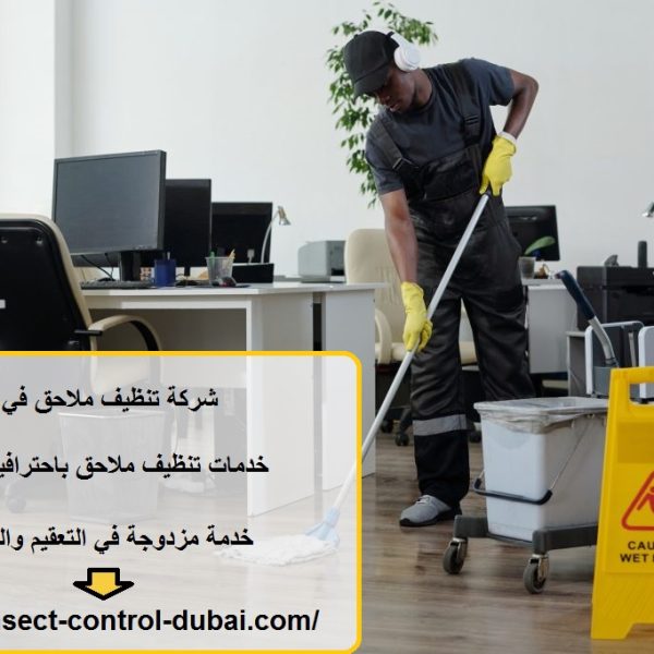 شركة تنظيف ملاحق في دبي