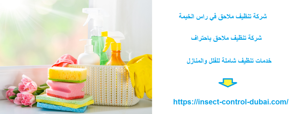 شركة تنظيف ملاحق في راس الخيمة