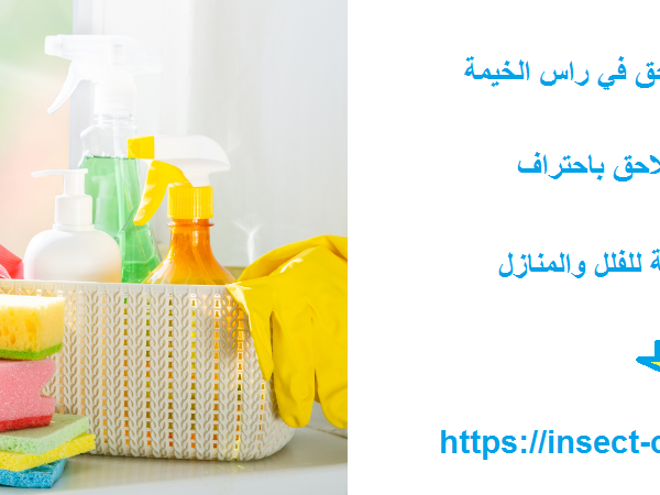 شركة تنظيف ملاحق في راس الخيمة